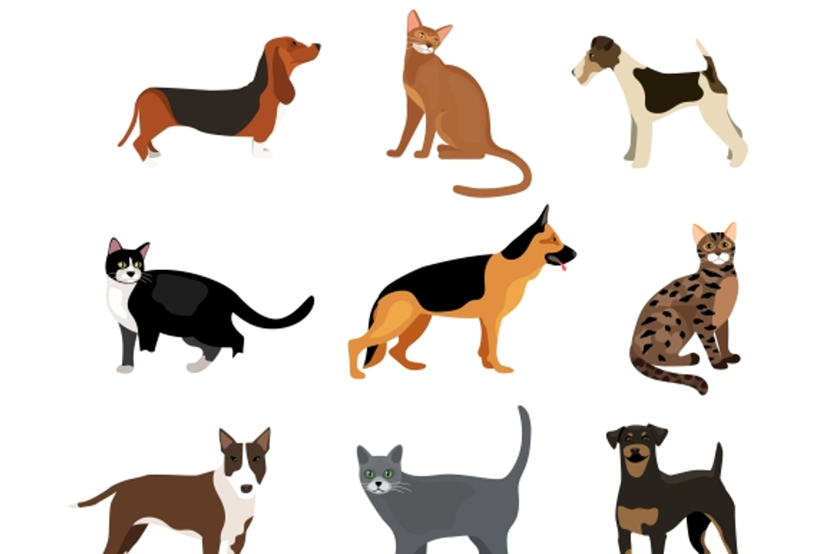 Cats and dogs vector illustration, an Animal Illustration by Microvector