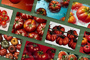 55 Aesthetic Tomatoes Stock Photos, a Food & Drink Photo by Incomelion (Thumbnail 7 of 13)