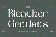 Brivonne Royale, a Serif Font by zaaintype (Thumbnail 6 of 12)
