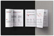 Web Design Proposal, a Brochure Template by StudioGraficso (Thumbnail 5 of 11)