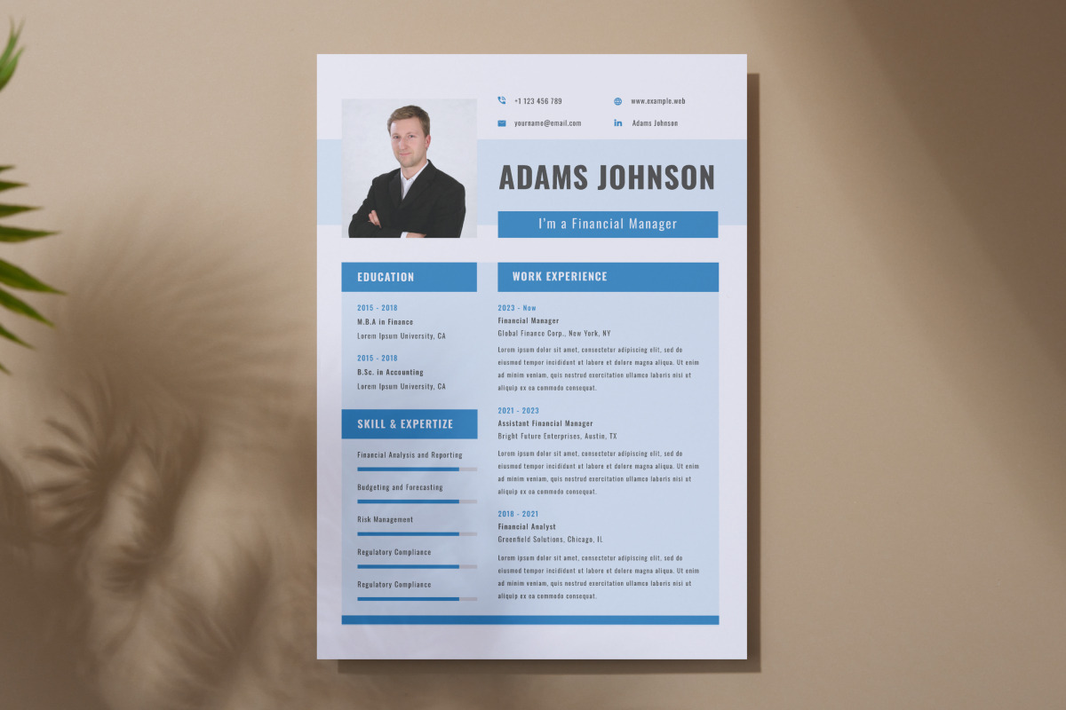 CV Resume Financial Manager V2, a Resume Template by twinstd (Photo 3 of 3)