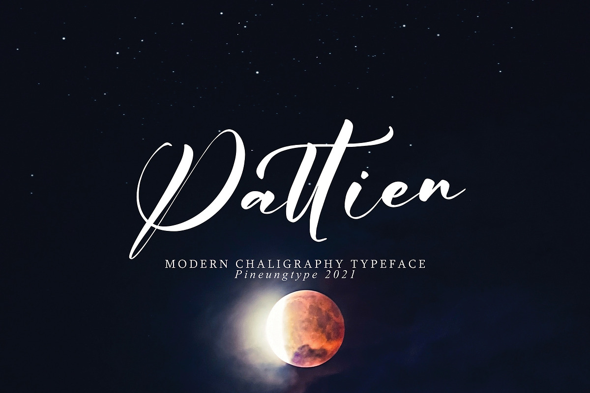Switzerland, a Script Font by pineungtype (Photo 3 of 9)