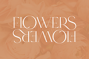SALE! Type Maestro -  serif font, a Serif Font by VP Fonts (Thumbnail 12 of 25)