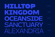 Molia - Sans Serif Font, a Sans Serif Font by limitype (Thumbnail 8 of 12)