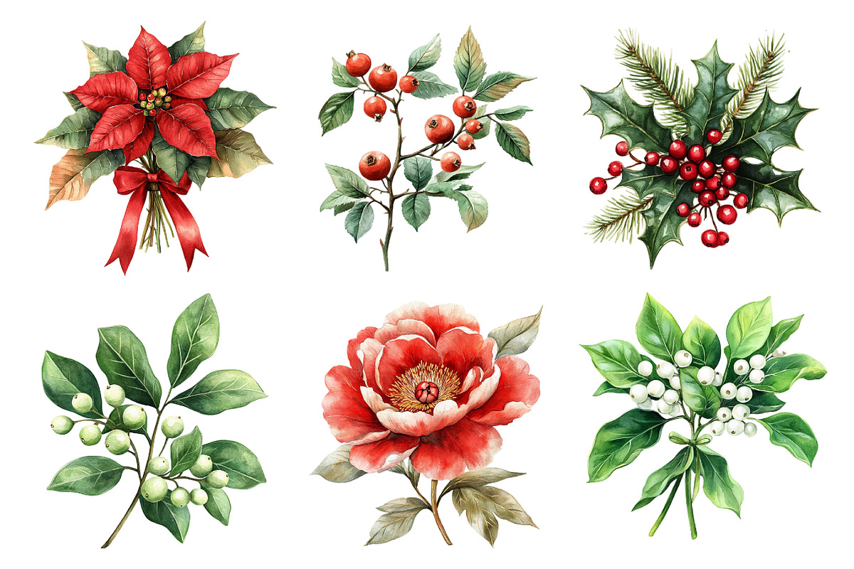 Watercolor Christmas Floral Clipart, an Illustration by Daily.Designs (Photo 2 of 5)