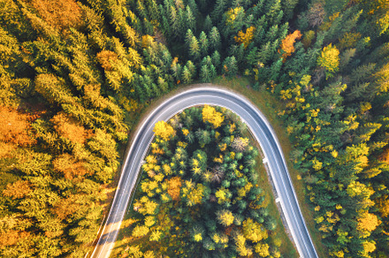 Aerial view of mountain road in beautiful forest at sunset, a Transportation Photo by den-belitsky