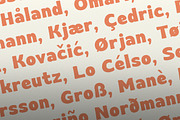Balise - Retro Vintage Font Family, a Sans Serif Font by Namela Studio (Thumbnail 7 of 9)