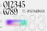 Ephidona, a Serif Font by Bagerich Type Foundry (Thumbnail 15 of 16)