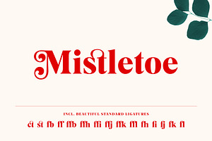 Mogan Serif Font Extras