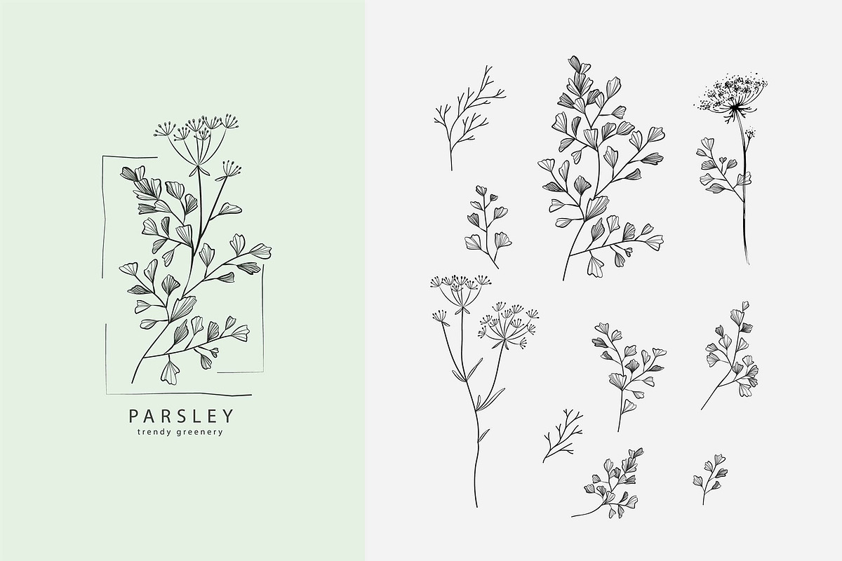 Spices. 30 Premade logos & branches, a Branding & Logo Template by Merfin (Photo 8 of 8)