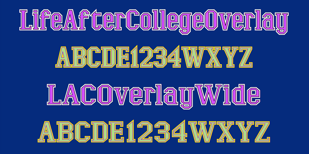 LifeAfterCollege, a Slab Serif Font by Ingrimayne Type (Photo 7 of 8)