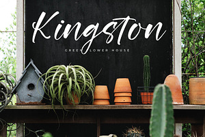 Rustling Kingdom Modern Script Font