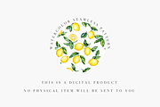 Seamless Citrus Design, a Decorative Illustration by Pati Charm Studio (Thumbnail 3 of 7)