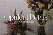 Amonelle Serif, a Serif Font by Prestige Artsy Studio (Thumbnail 6 of 9)