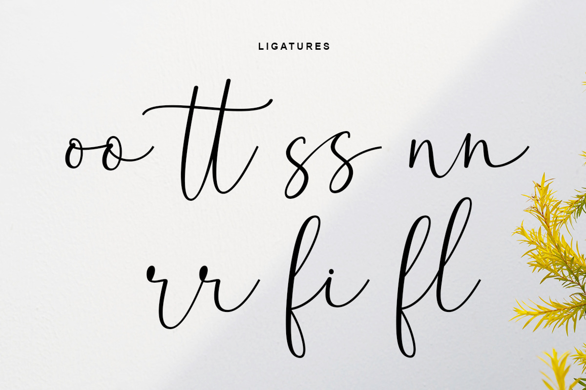 Blooming Garden, a Script Font by Rotterlab Studio (Photo 15 of 16)