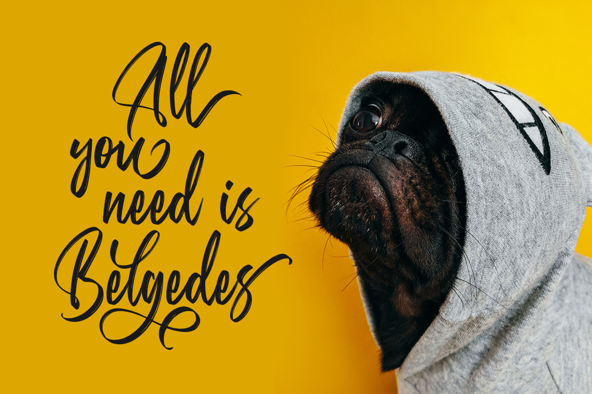 Belgedes, Hand Lettered Script Font, a Script Font by Motokiwo (Photo 14 of 14)