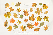 Autumn sentiment - vector clipart, a Decorative Illustration by Vasmila (Thumbnail 12 of 14)