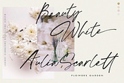 Scoottburg - Modern Calligraphy, a Script Font by Anxiety Studio (Thumbnail 3 of 17)