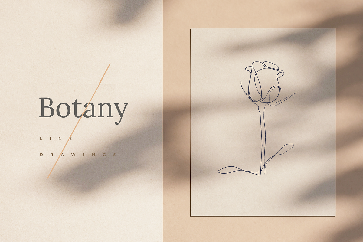 Botanical Line Drawings, a Decorative Illustration by Delightful Design (Photo 1 of 7)