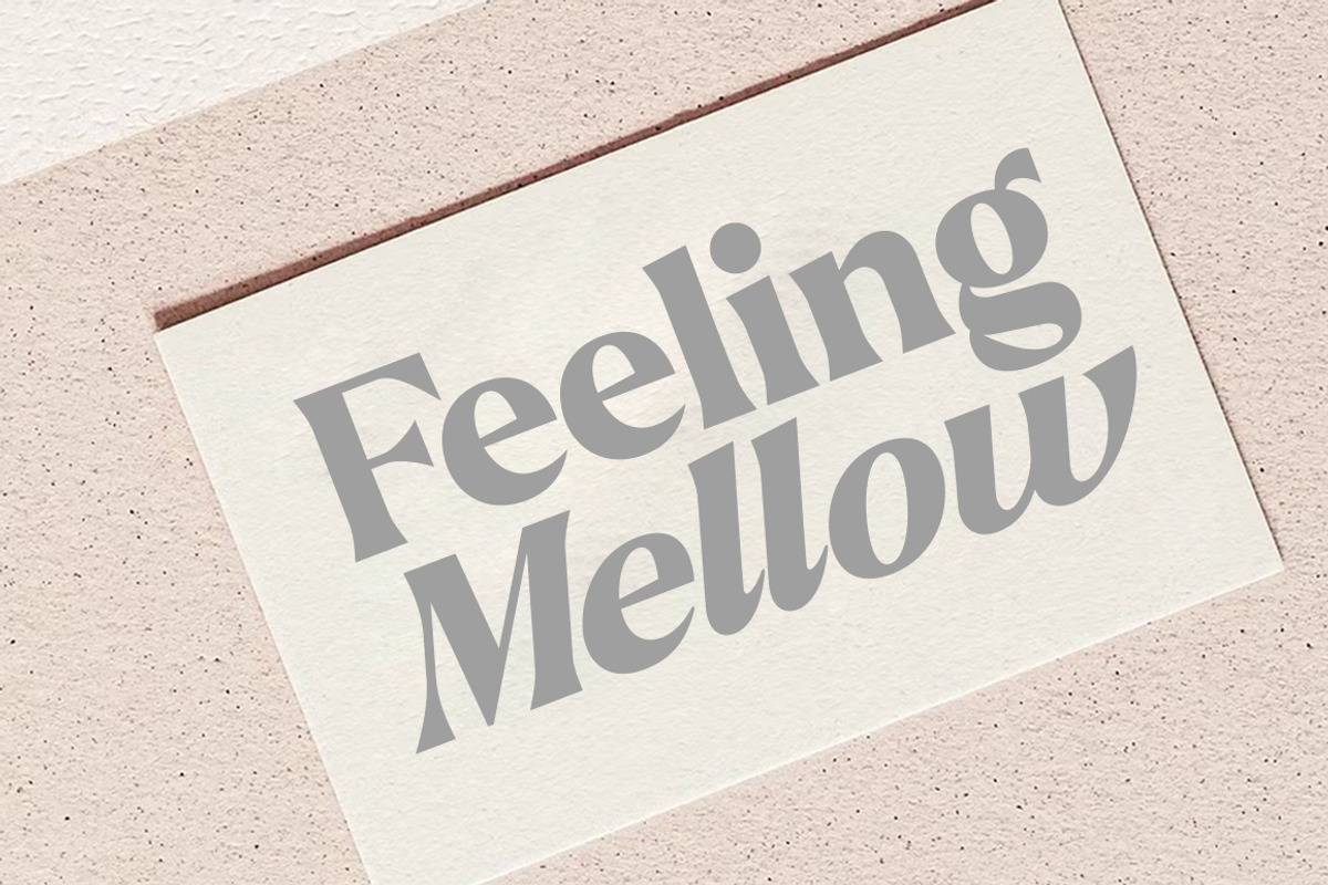 Callum Text Serif | 9 Font, a Serif Font by Positive TypeFoundry (Photo 8 of 13)