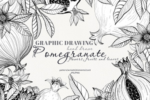 Graphic drawing pomegranate set