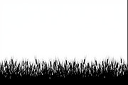 Rustic Wheat Field Vector Borders, an Illustration by hafijul (Thumbnail 2 of 9)