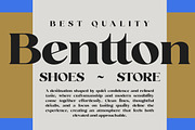 Fanilex, a Serif Font by Propertype (Thumbnail 7 of 16)