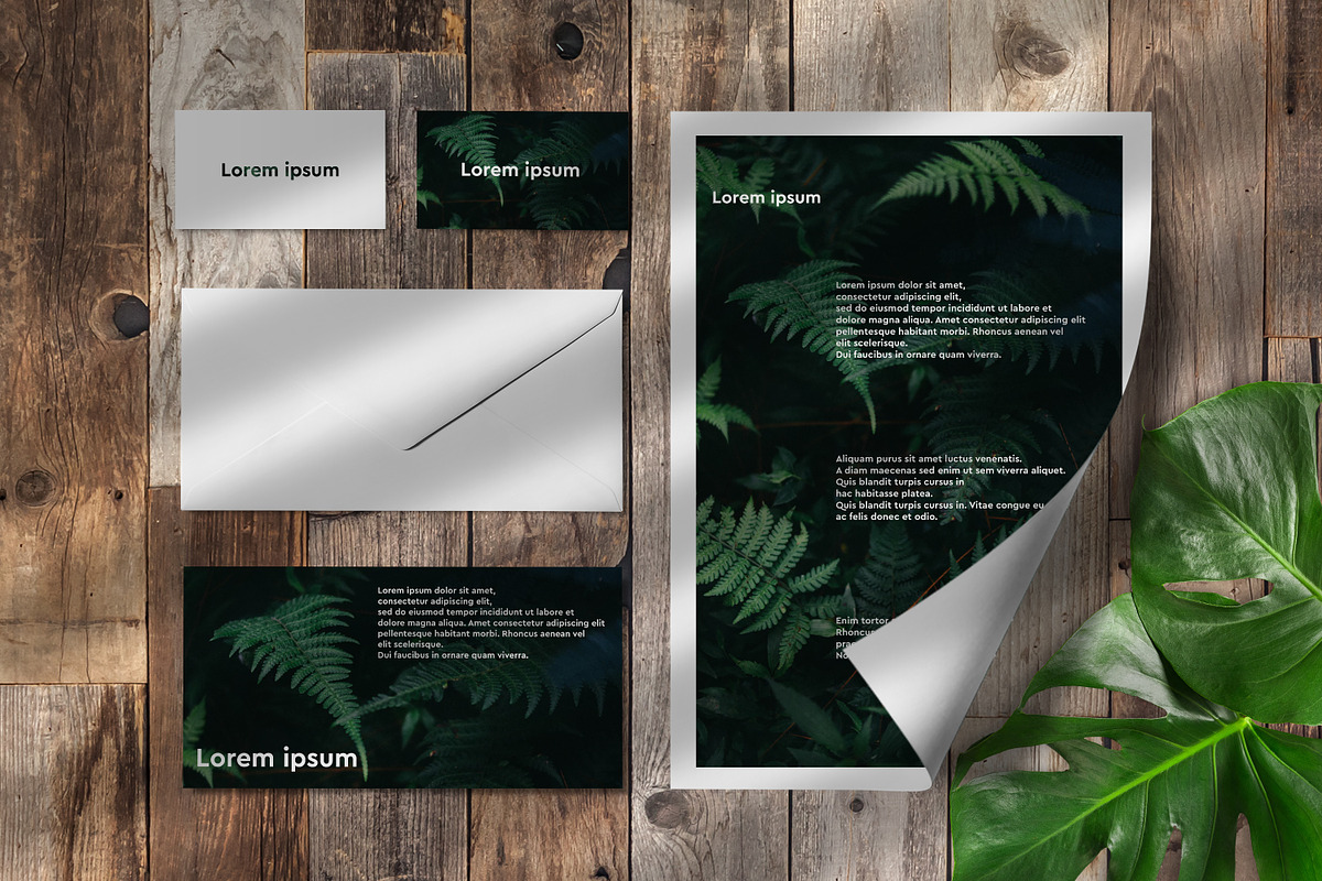 Big Pack Scene Generator, a Cups & Container Mockup by Mila (Photo 36 of 44)