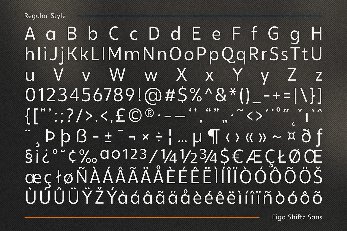 Figo Shiftz - Editorial Serif & Sans, a Serif Font by Propertype (Photo 26 of 26)