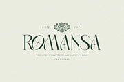 Elegant Condensed Volume 4, a Serif Font by Taboja Studio (Thumbnail 21 of 22)