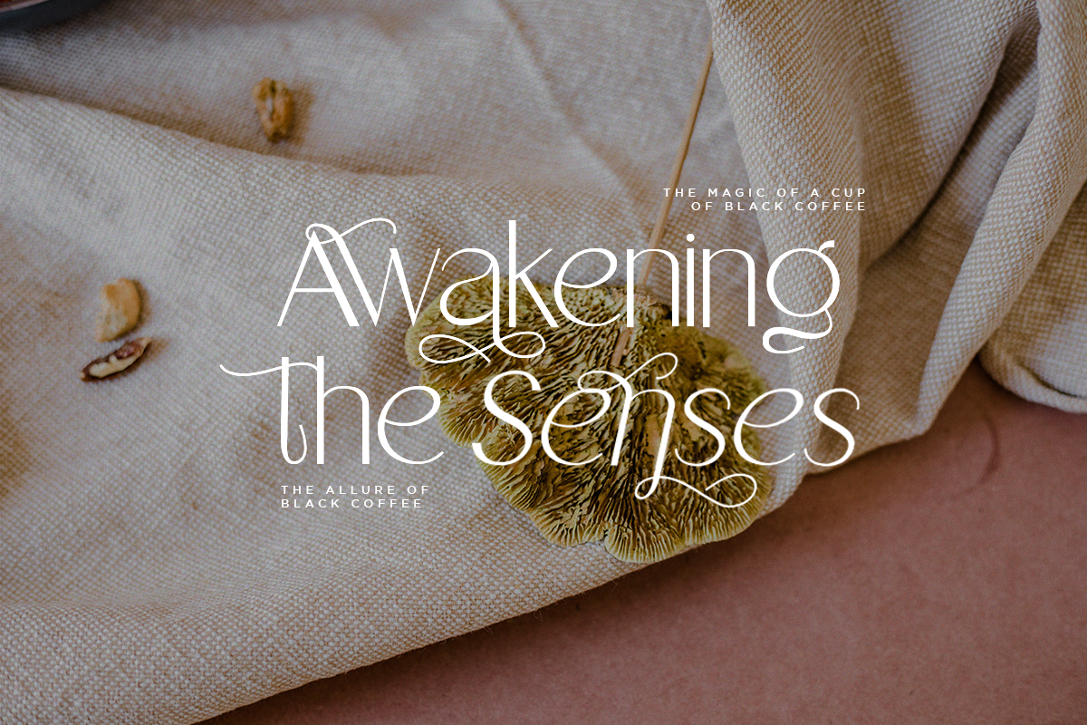 Grand Ophius - Elegant Sans Font, a Sans Serif Font by Say Studio (Photo 5 of 12)