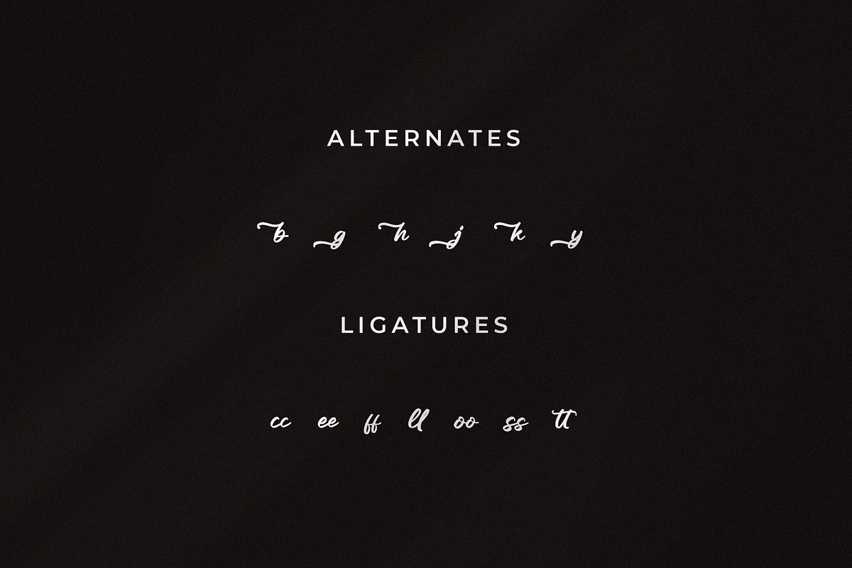 Neckaratt, a Script Font by Integritype Studio (Photo 11 of 15)