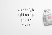 Earwyn Serif 3 Font Family Pack, a Serif Font by Creativetacos (Thumbnail 3 of 5)