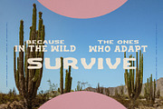 St. Mojave - Hand Drawn Font, a Handwritten Font by UppercapType (Thumbnail 6 of 12)