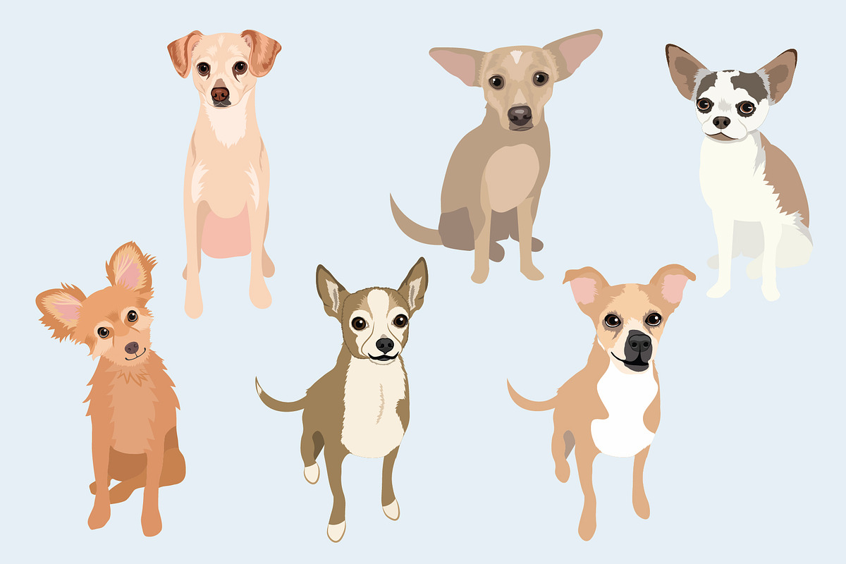 Chihuahua Vector Clip Art Bundle, an Illustration by Putnam Road Art (Photo 2 of 3)