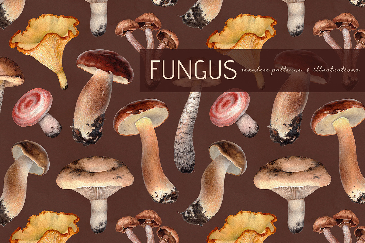 Fungus, a Pattern Graphic by Sundra (Photo 12 of 13)
