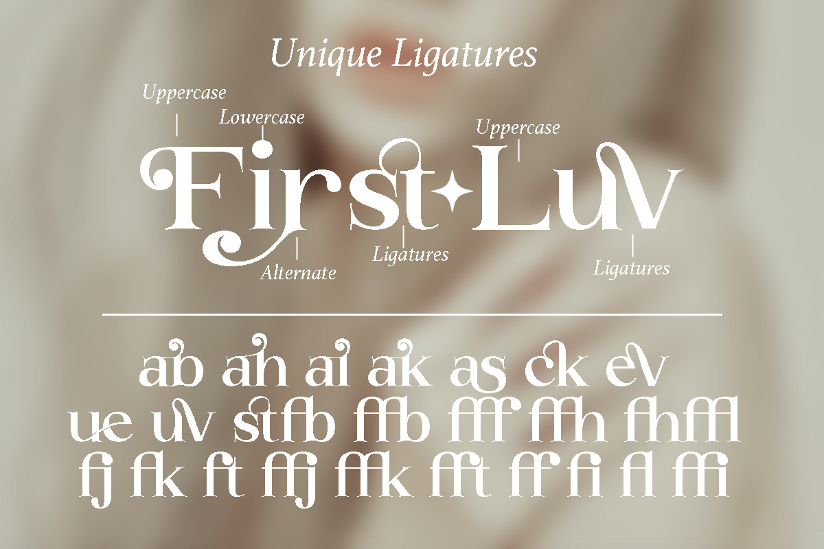 Buckbrush | Elegant Playful Serif, a Serif Font by anOra.std (Photo 11 of 12)