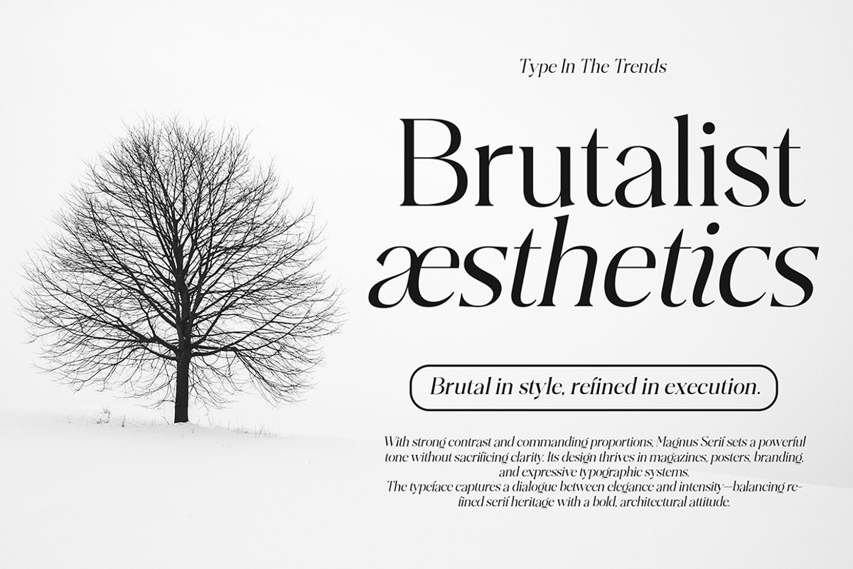 Plakent, a Serif Font by studiobasic (Photo 6 of 15)