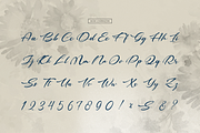 Meytha Chartal | Casual Handwritten, a Script Font by gracetype_studio (Thumbnail 10 of 12)
