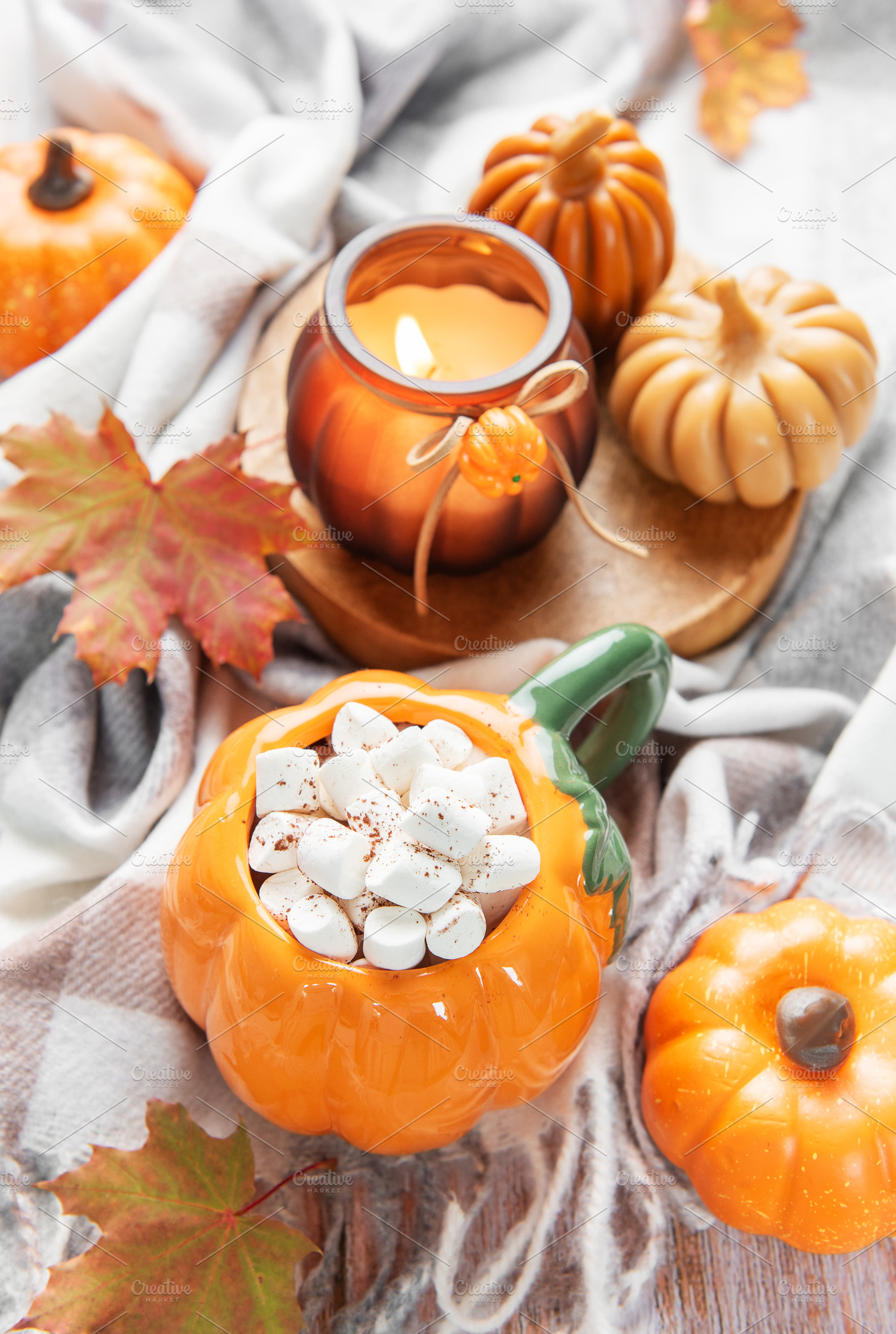Hot chocolate mug with marshmallows for cozy autumn, a Food & Drink Photo by Olena Rudo
