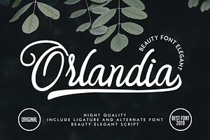 Orlandia | Beauty Font Elegant, a Script Font by Vunira