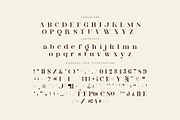 Brista - Elegant Serif Font, a Serif Font by suhadidesign (Thumbnail 10 of 10)