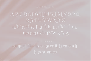 Chanley - Modern Font Serif