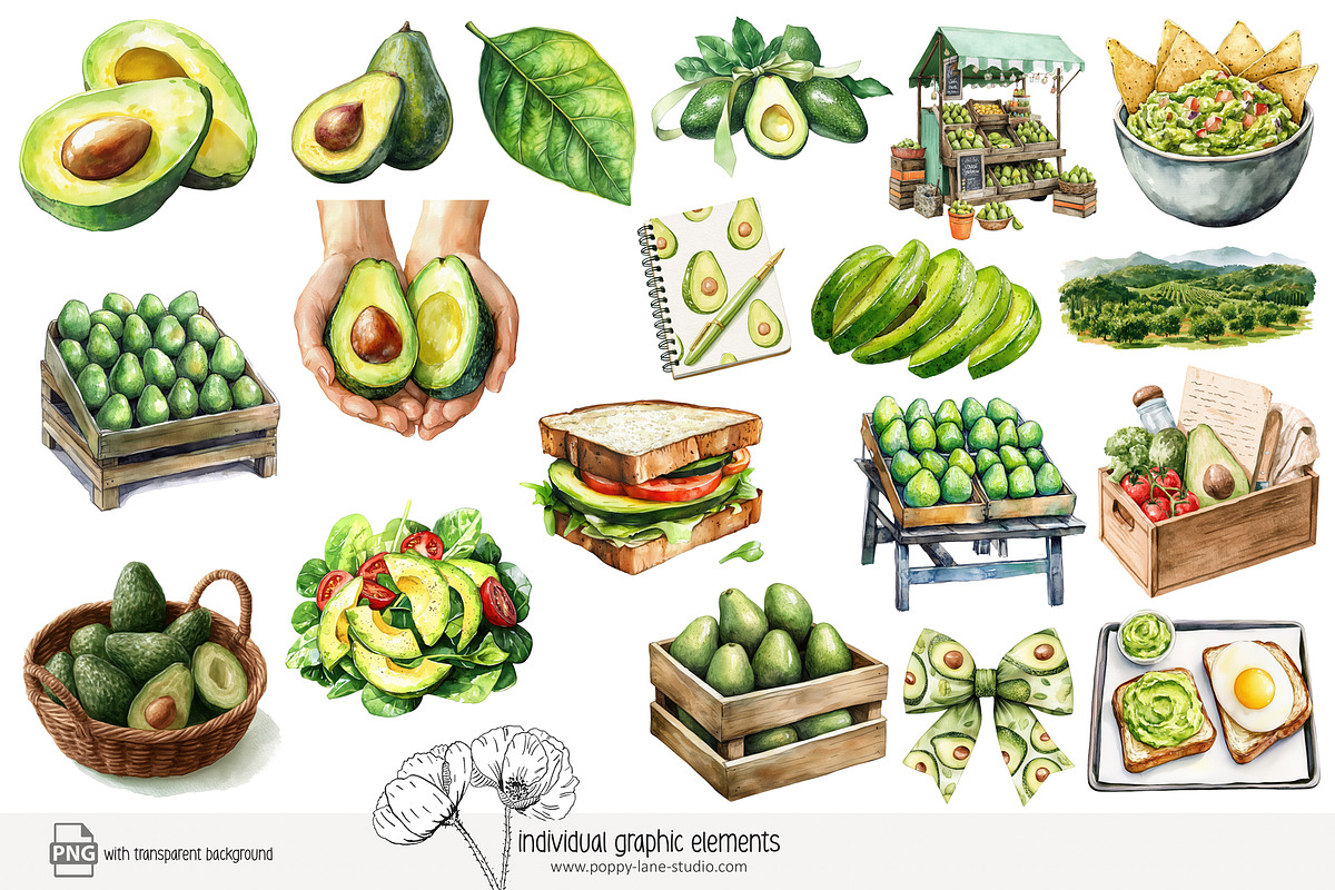 100 avocado clip art, a Food Illustration by Poppy Lane Studio (Photo 7 of 12)
