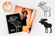 Woodland Creature Illustrations, an Animal Illustration by Inkwell Supply Co (Thumbnail 8 of 10)