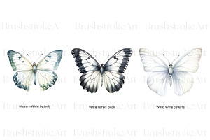 White Butterflies Clipart, Butterfly