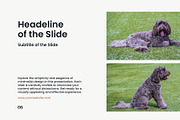 Slide Deck Collection – Photoshop Pr, a Presentation Template by Elite Mockups (Thumbnail 8 of 11)