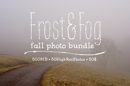 Foggy Forest Photo Pack preview 7