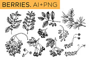 Autumn Leaves & Flowers. Fall Bundle, an Object Graphic by Yevheniia (Thumbnail 7 of 11)