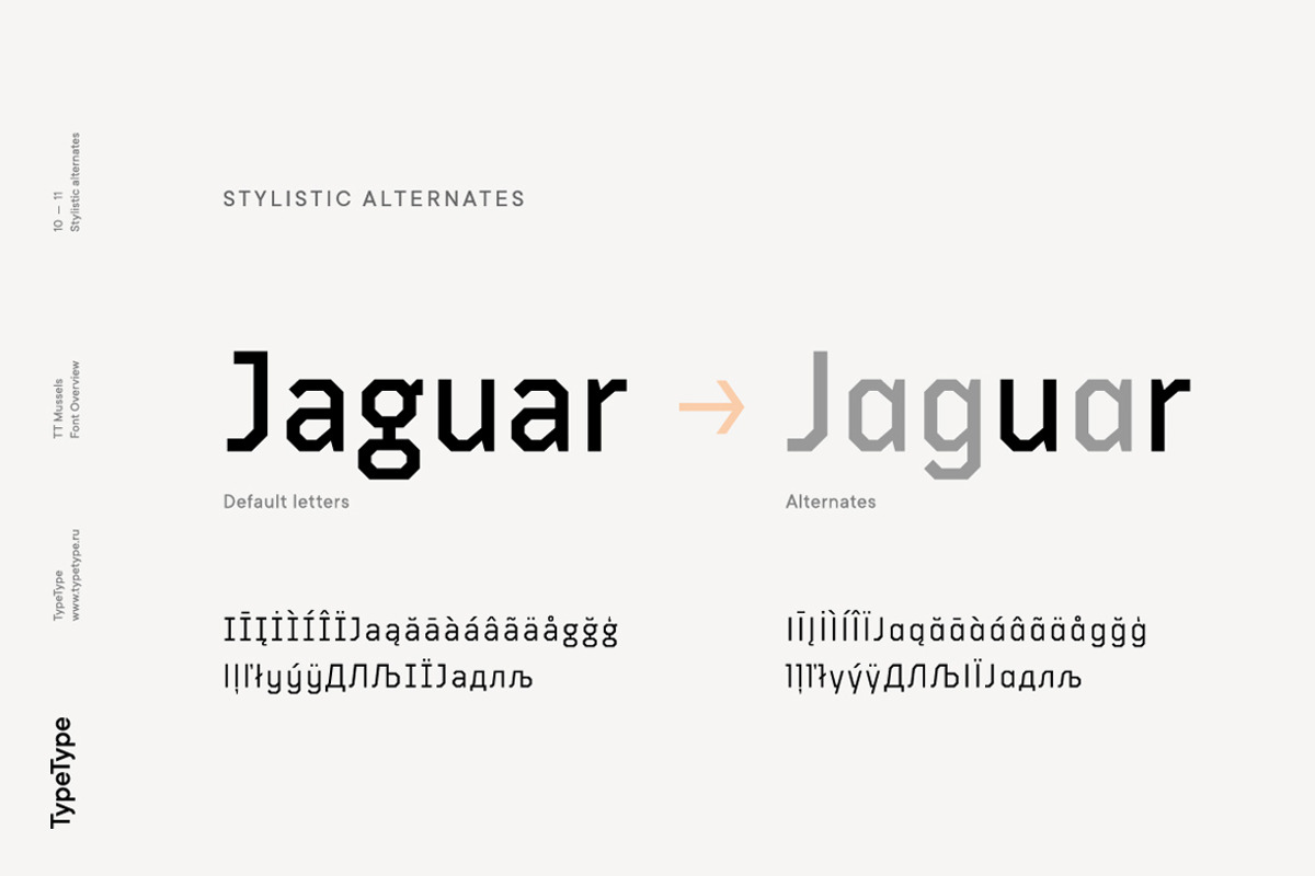 TT Mussels, a Sans Serif Font by TypeType (Photo 12 of 17)